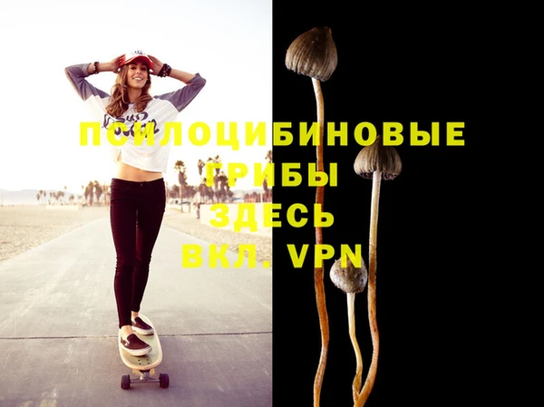 a pvp Вязники