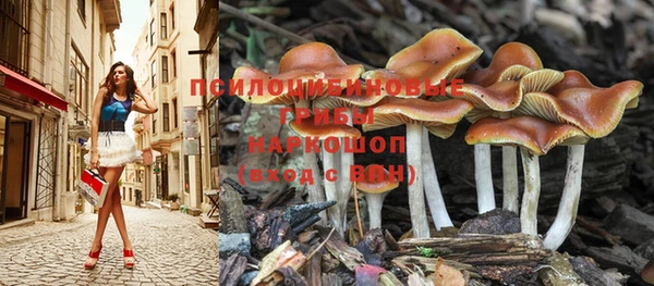 mix Гусь-Хрустальный
