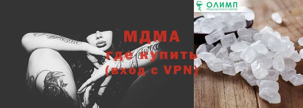 прущие грибы Гусев