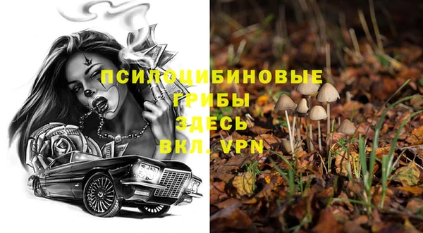 альфа пвп Горняк