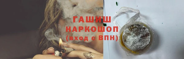 прущие грибы Гусев