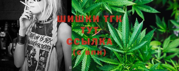 амф Гусиноозёрск
