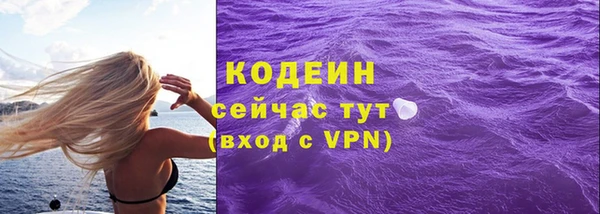 2c-b Горнозаводск