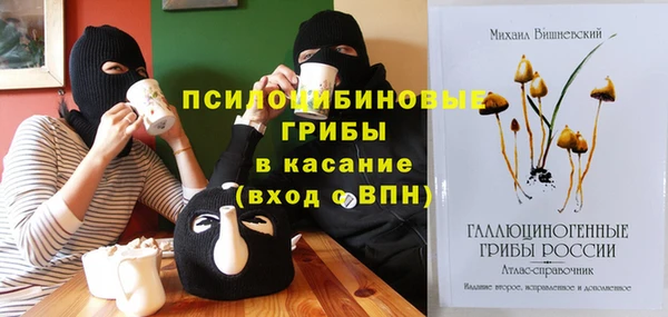 альфа пвп Горняк