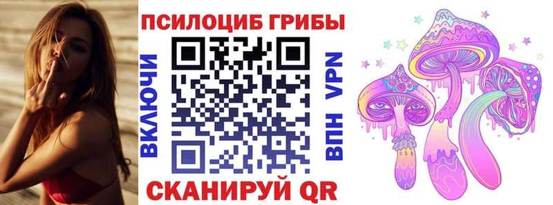 закладка  Зубцов  Псилоцибиновые грибы мицелий 